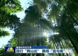 长汀新闻爆料,揭秘当地重大事件背后真相 第1张 长汀新闻爆料,揭秘当地重大事件背后真相 第1张