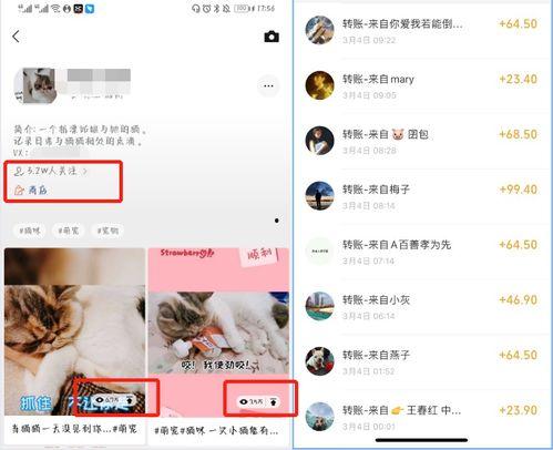 卖货真实爆料视频,揭秘带货主播的“带货术” 第1张 卖货真实爆料视频,揭秘带货主播的“带货术” 第1张