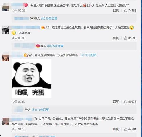 吴瑾言最新爆料视频播放,幕后故事大公开  第2张