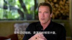 阿诺最新爆料视频,揭秘幕后的惊人真相! 第2张 阿诺最新爆料视频,揭秘幕后的惊人真相! 第2张